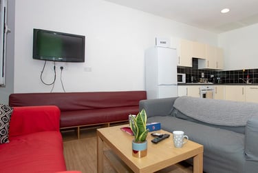 1 bed studio, Cowgate, Old Town, Edinburgh, EH11NQ - Image 12